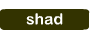 Shad Bait